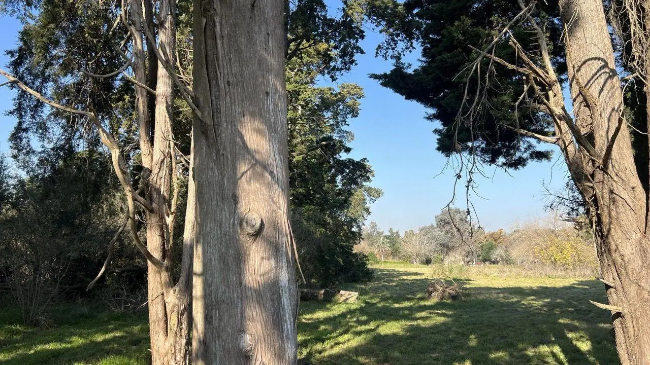 Lote . | RUTA 2 al km 00 4