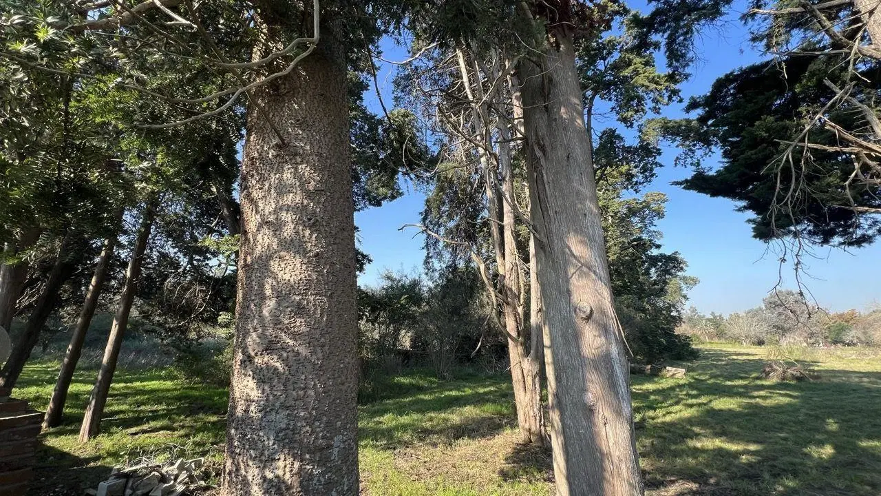 Lote . | RUTA 2 al km 00 3