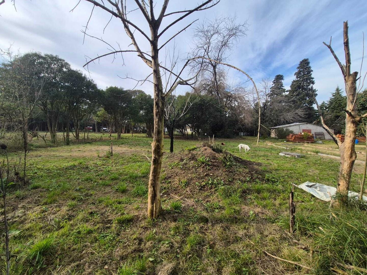 Foto de Terreno Lote en Venta en Paso del Rey, Moreno, G.B.A. Zona Oeste, imagen 5