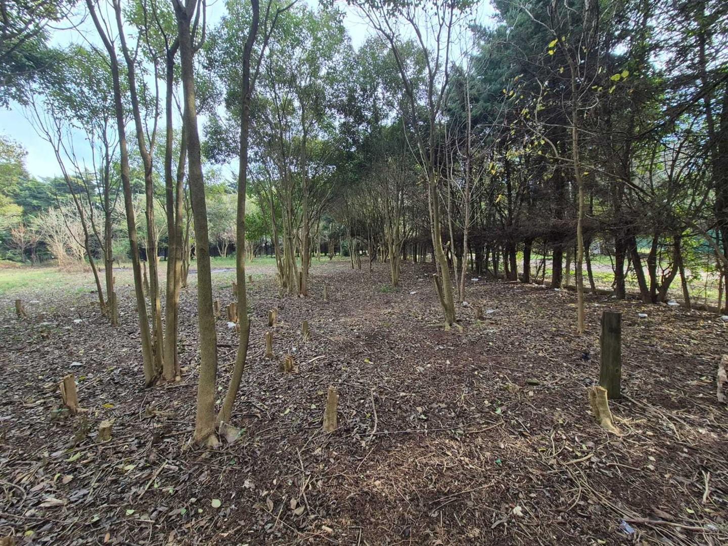 Foto de Terreno Lote en Venta en Paso del Rey, Moreno, G.B.A. Zona Oeste, imagen 3