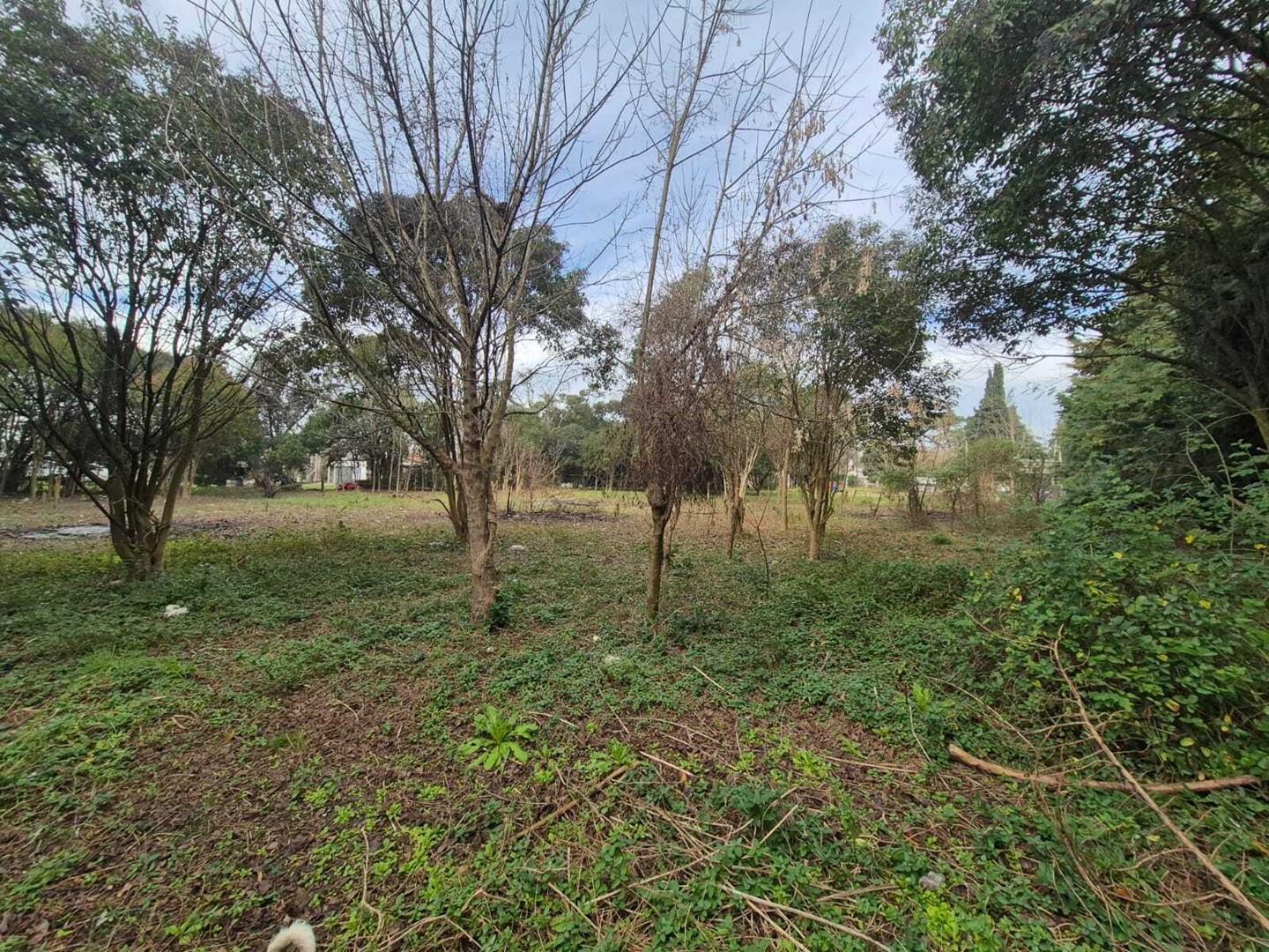 Foto de Terreno Lote en Venta en Paso del Rey, Moreno, G.B.A. Zona Oeste, imagen 4