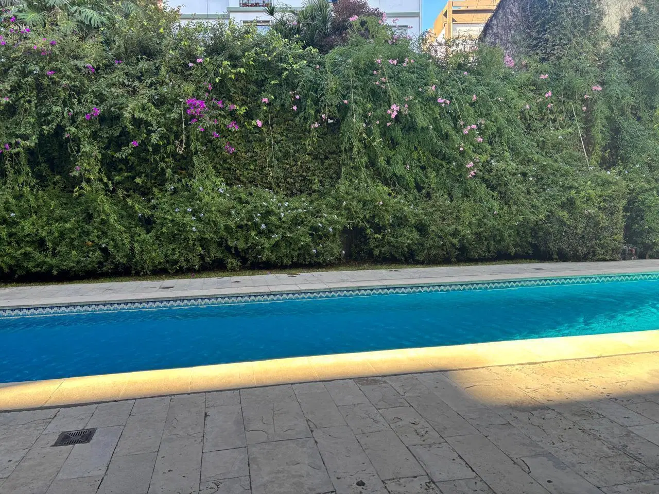 2amb Torre Jardines de Charcas 8