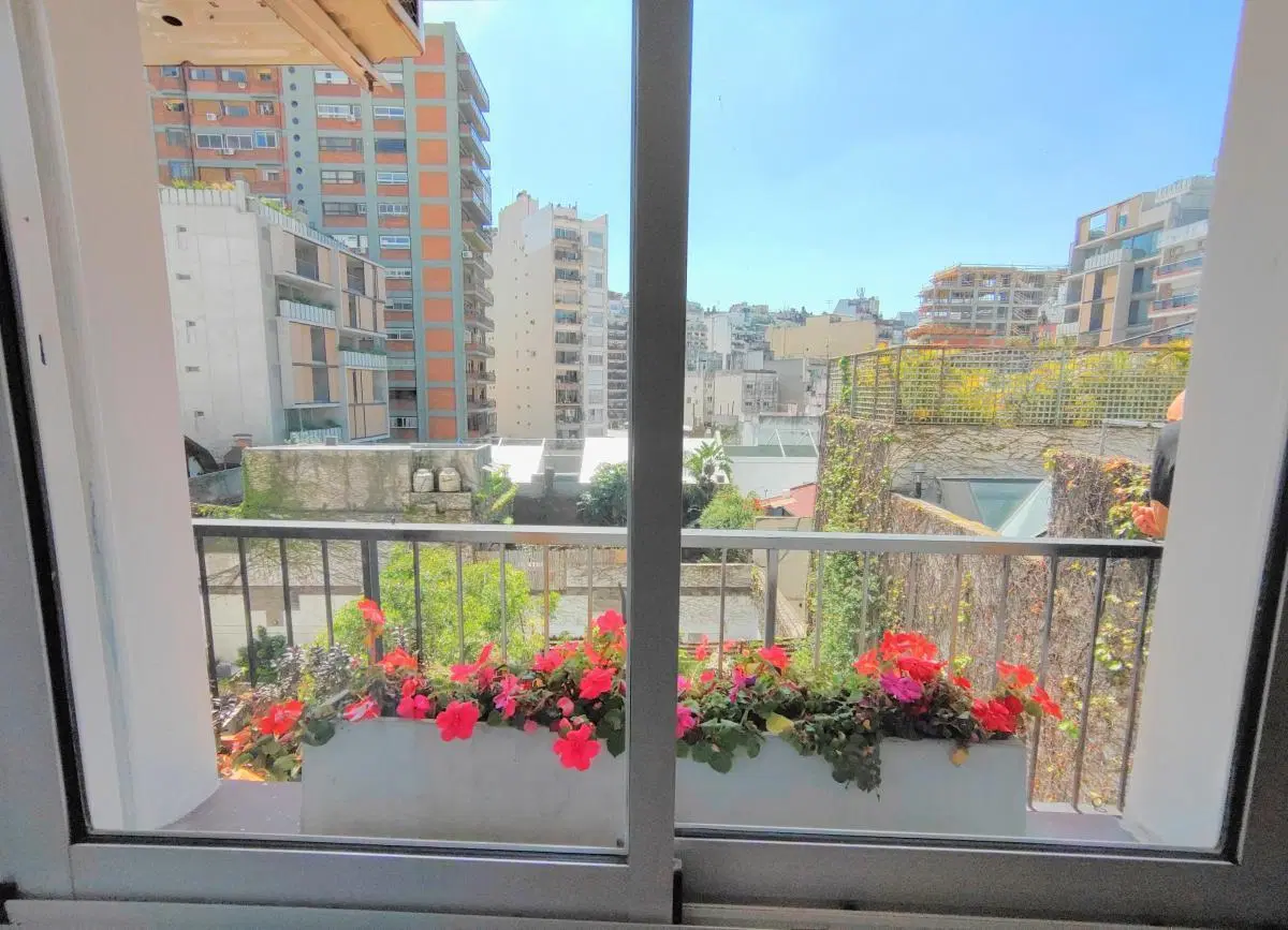 2 ambientes Super amplios con Increibles Vistas Verdes 4