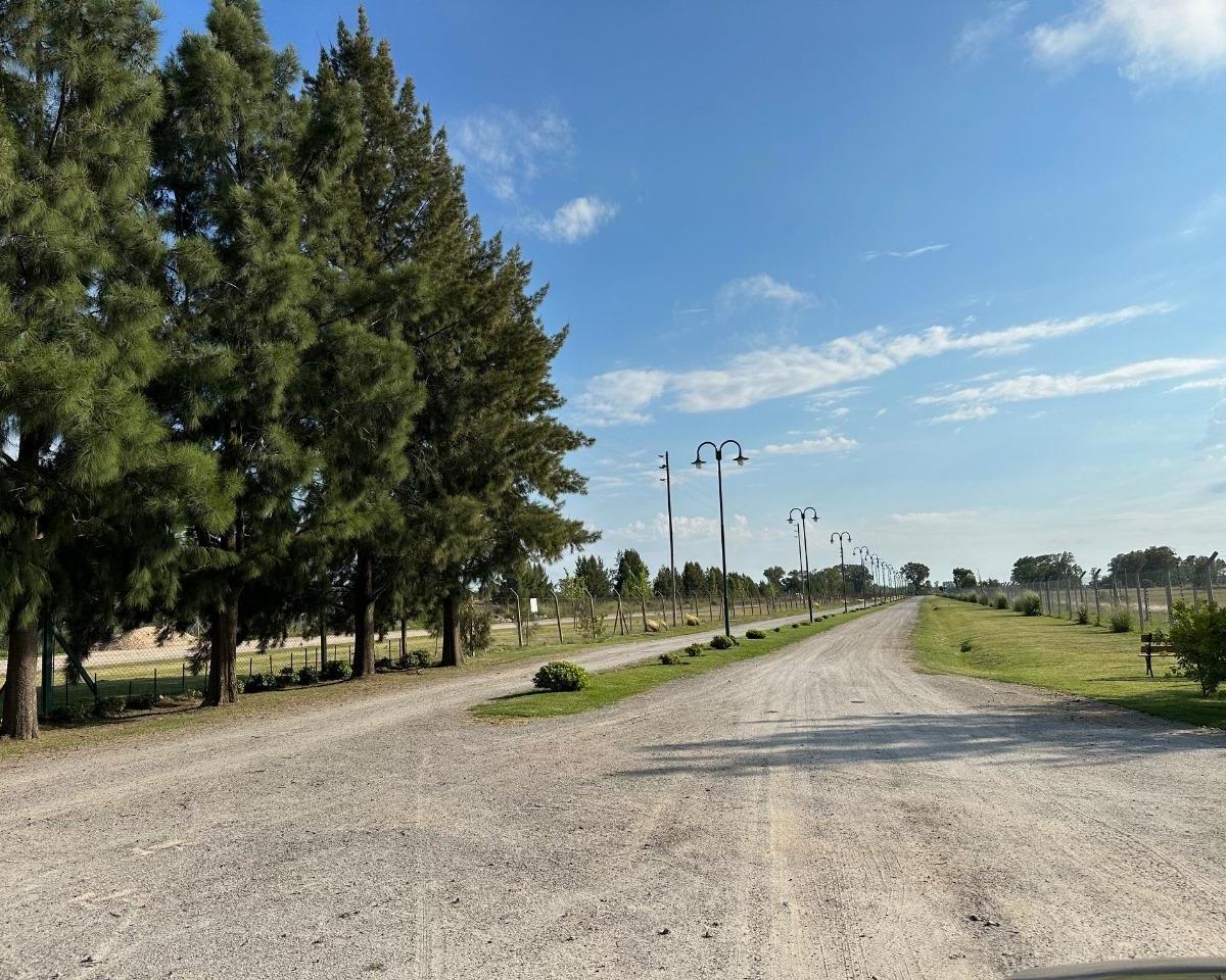 Foto de Terreno en BARRIO FINCA JOVEN, San Vicente, imagen 4