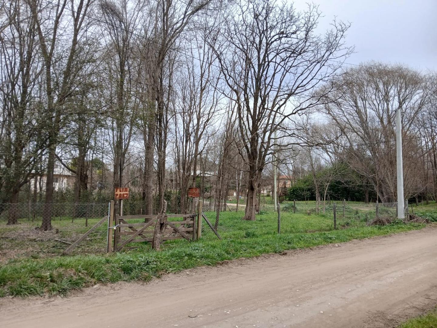 Foto de TERRENO EN VENTA "LOS REARTES" EL VERGEL, imagen 2