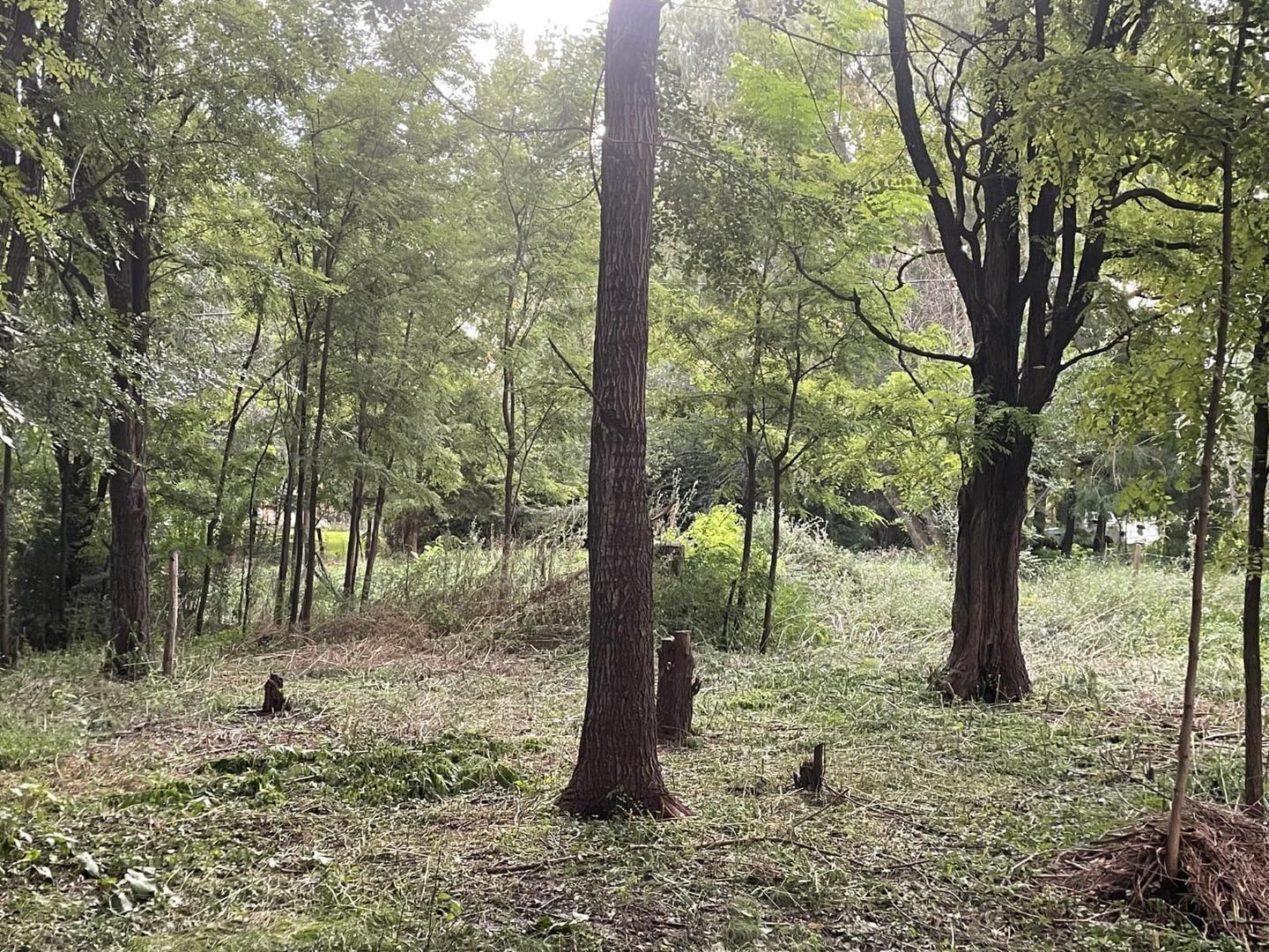 Foto de VENDO TERRENO EN LOS REARTES Bº EL VERGEL, imagen 3