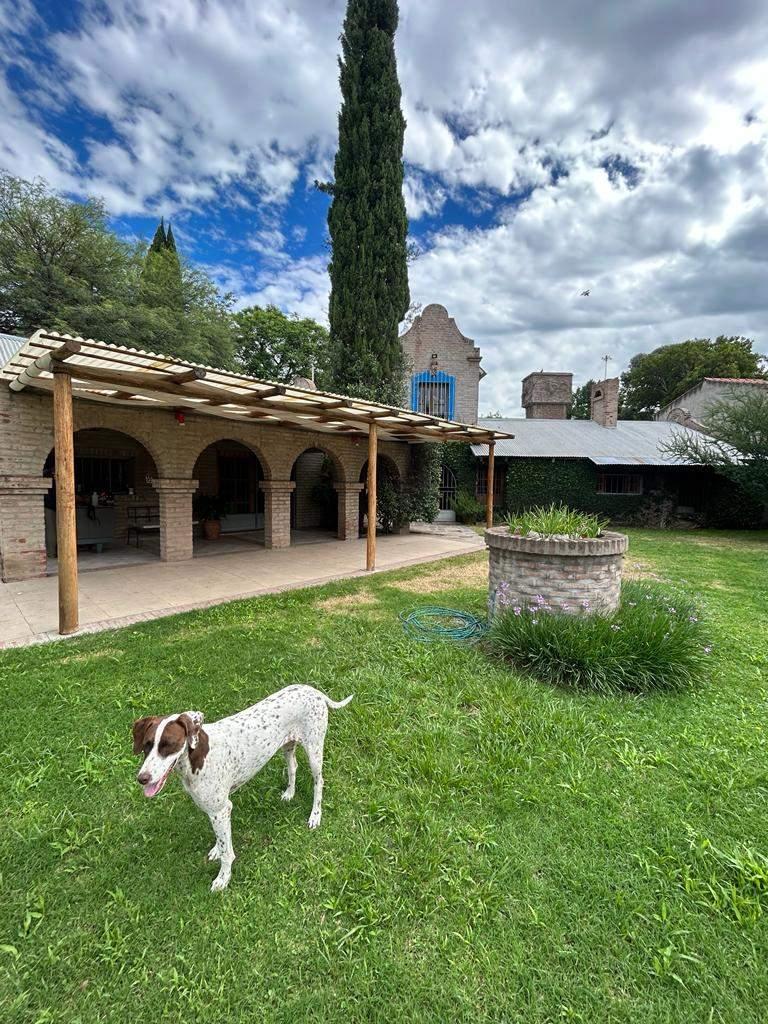Excelente Terreno Para Inversión Inmobiliaria Jardín Claret 3