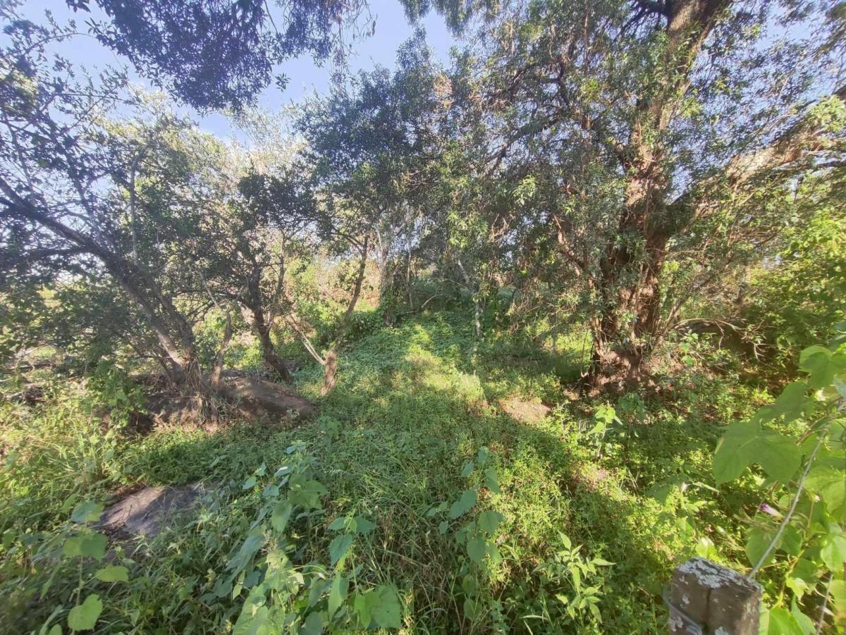 Foto de TERRENO EN VENTA EN CUESTA BLANCA, CORDOBA, imagen 4