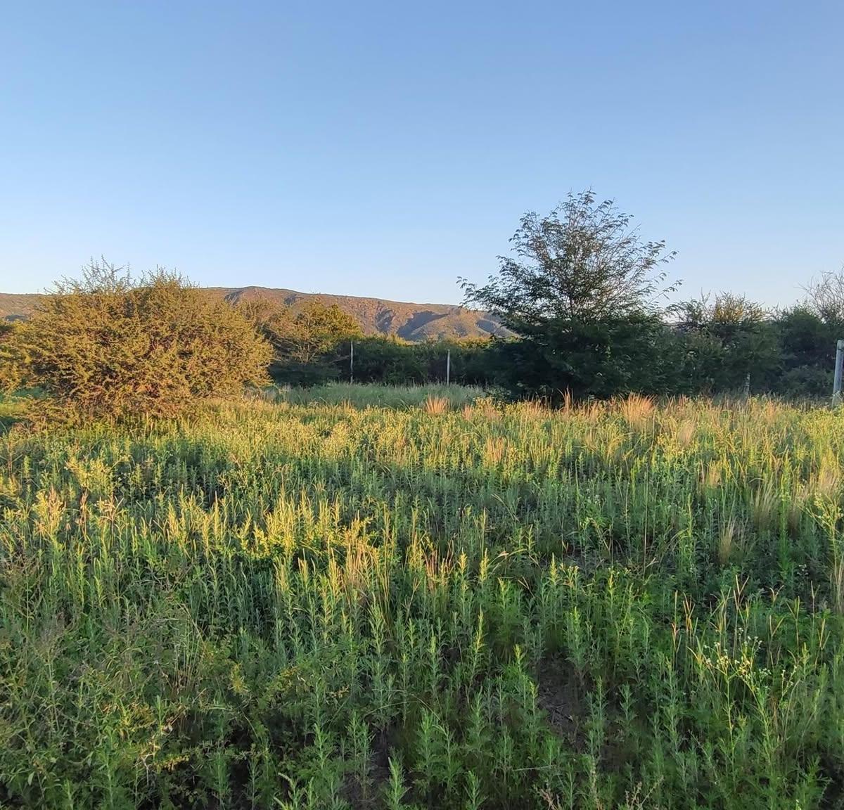 TERRENO EN VENTA EN BARRIO CERRADO "LOMAS DEL REY", MAYU SUMAJ, CORDOBA