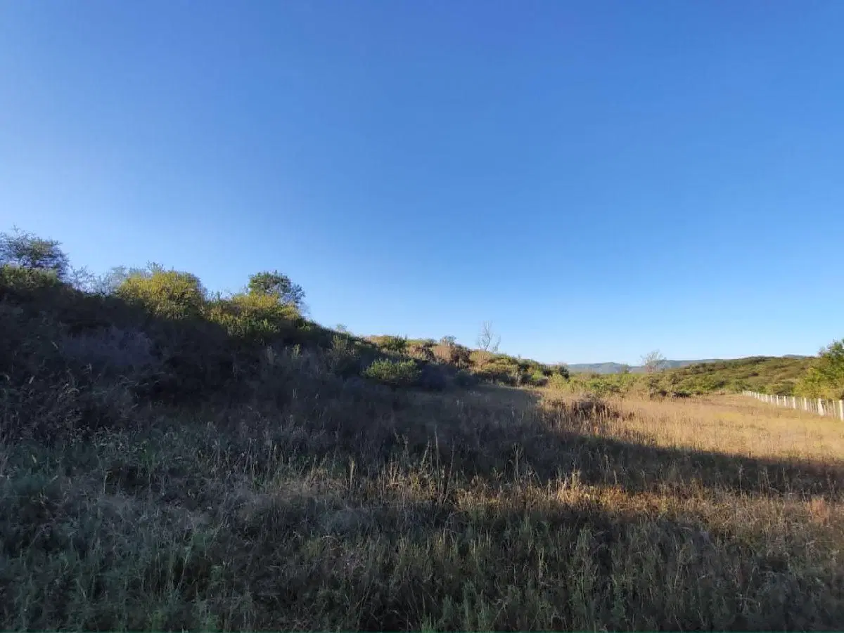 FRACCION DE 1 HECTAREA EN VENTA EN ICHO CRUZ, CORDOBA 2