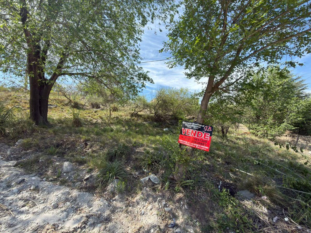 Foto de TERRENO EN VENTA EN SAN ANTONIO DE ARREDONDO, CORDOBA, imagen 2