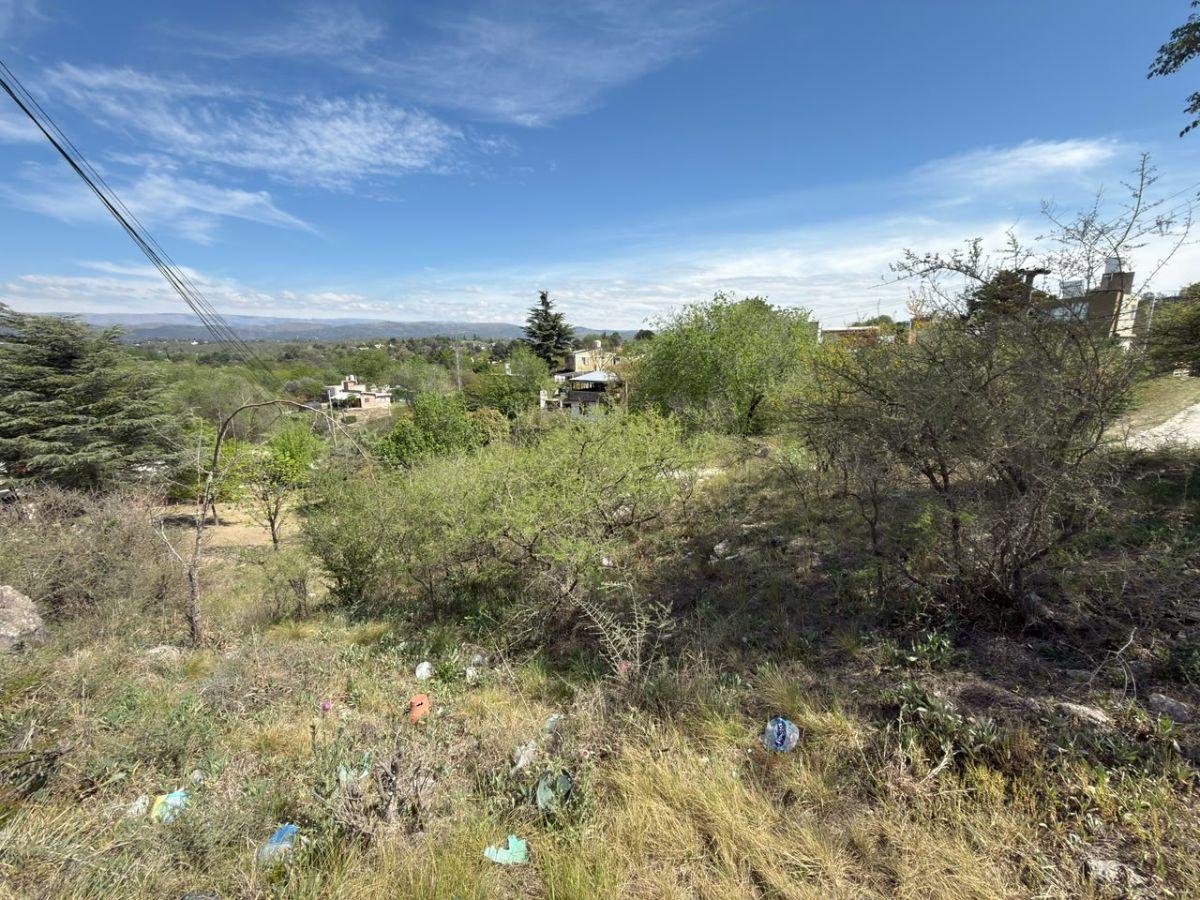 Foto de TERRENO EN VENTA EN SAN ANTONIO DE ARREDONDO, CORDOBA, imagen 5