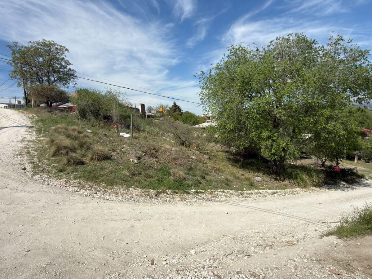 Foto de TERRENO EN VENTA EN SAN ANTONIO DE ARREDONDO, CORDOBA, imagen 3