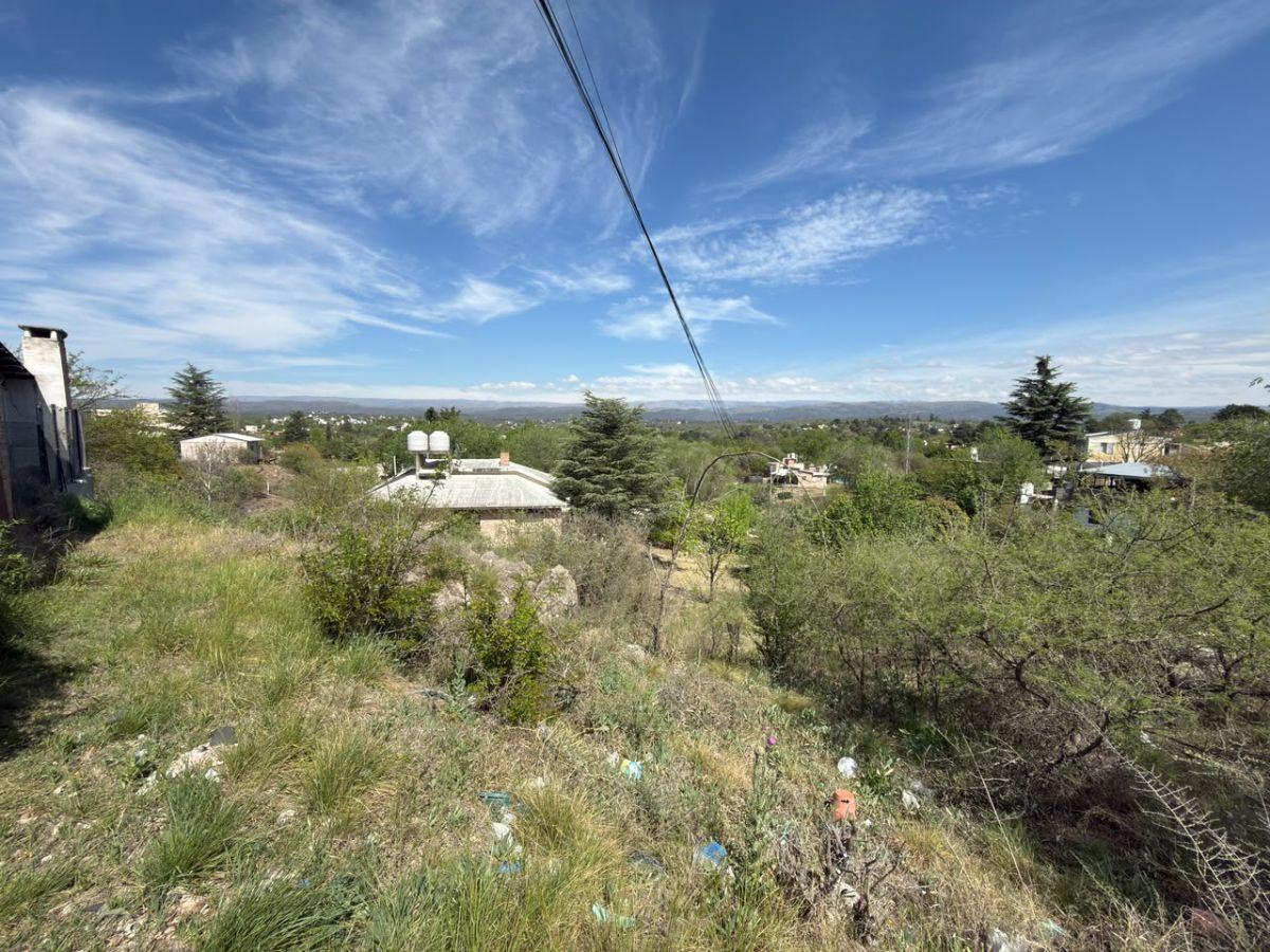 Foto de TERRENO EN VENTA EN SAN ANTONIO DE ARREDONDO, CORDOBA, imagen 4