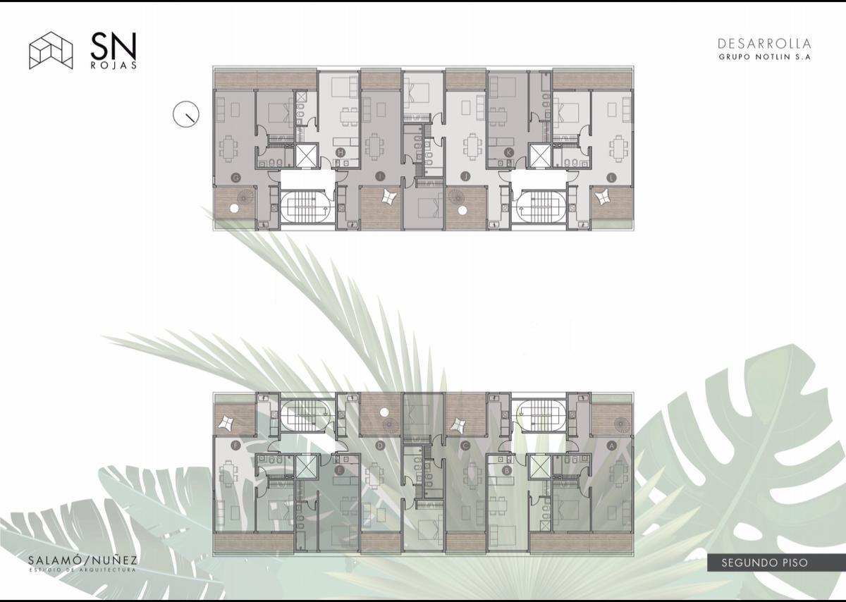 Plano 4