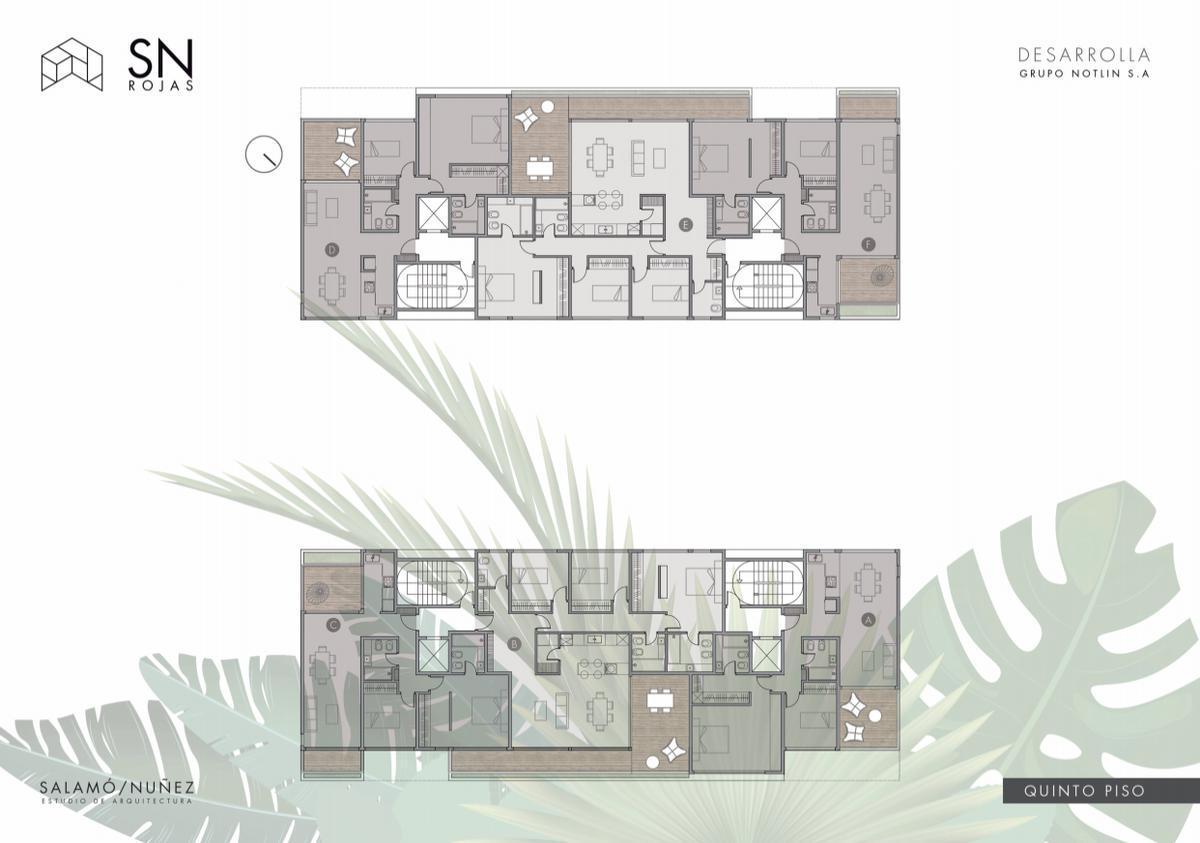 Plano 7