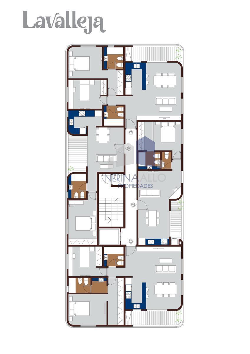 Plano 8