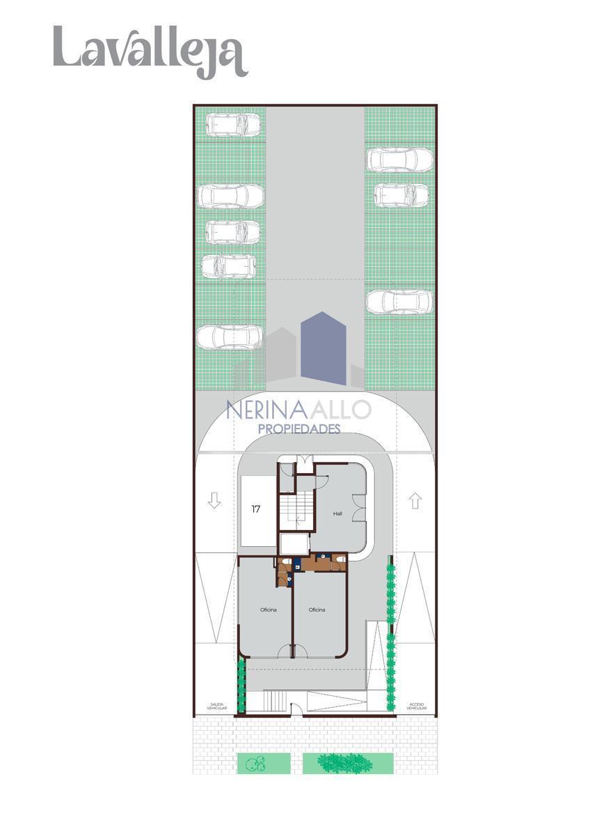 Plano 6