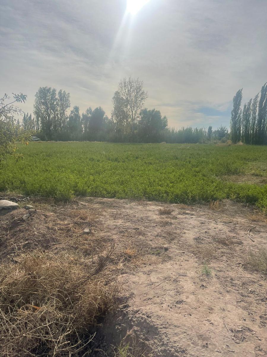 VENTA - Terreno en Mendoza. Excelente oportunidad!