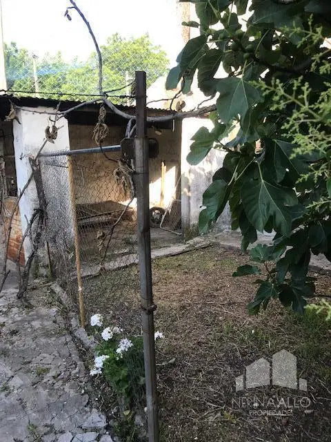 VENTA CASA 3 AMBIENTES ITUZAINGO NORTE 5