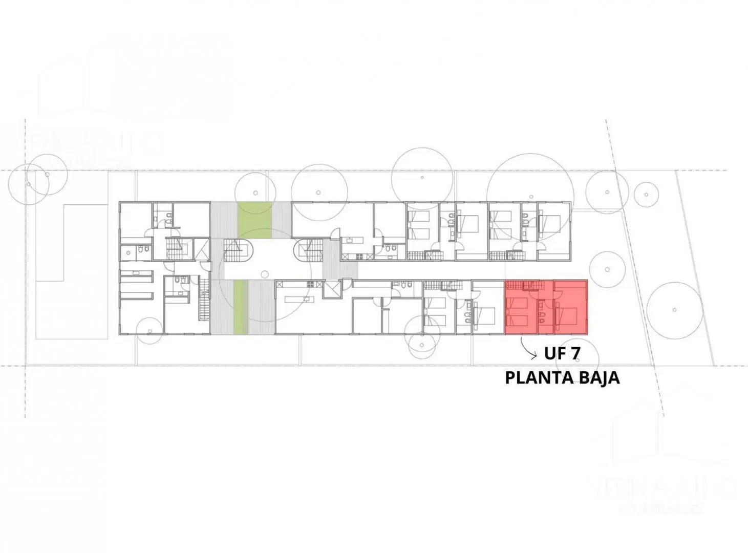 Plano 6