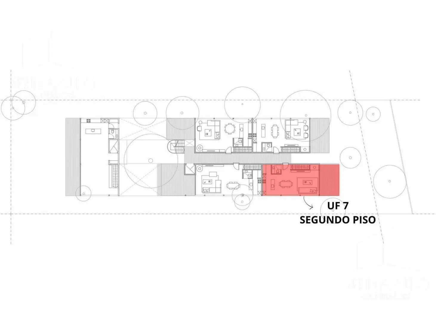 Plano 5