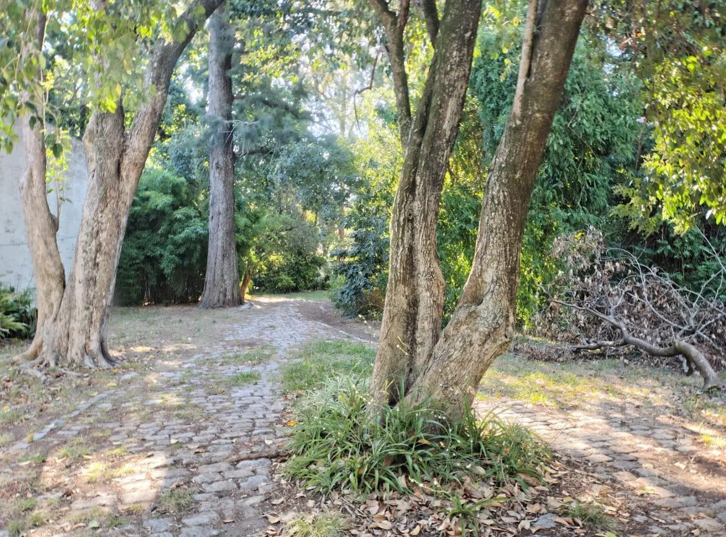 VENTA TERRENO PARQUE LELOIR VILLA UDAONDO 4