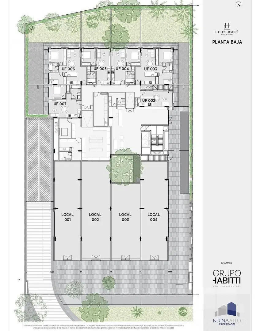 Plano 8