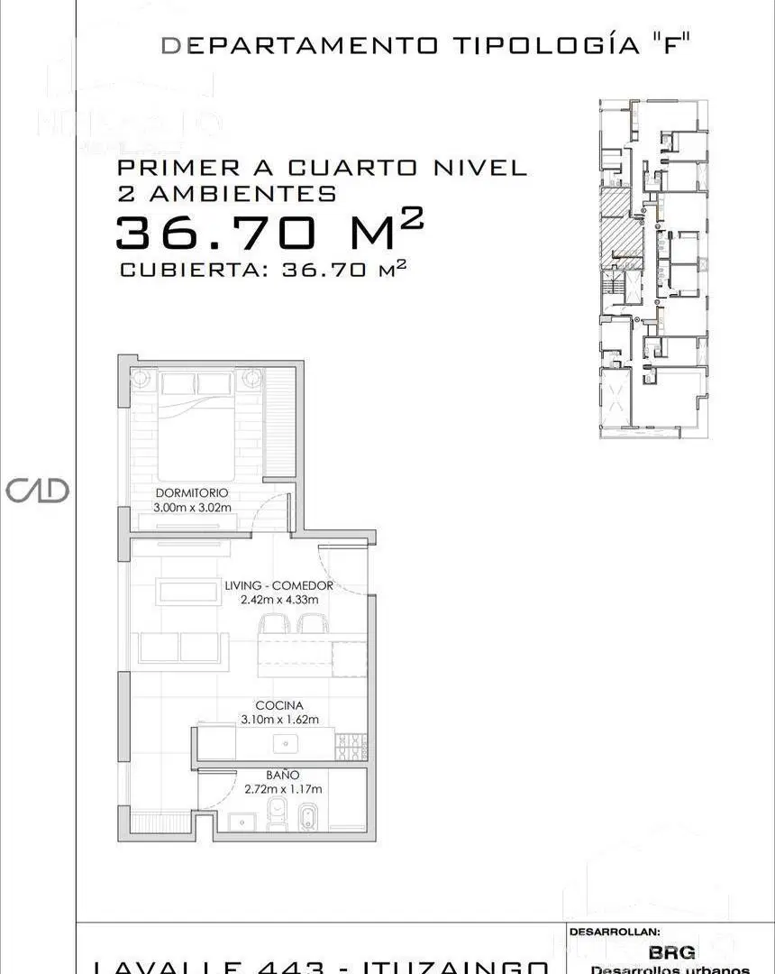 Plano 6