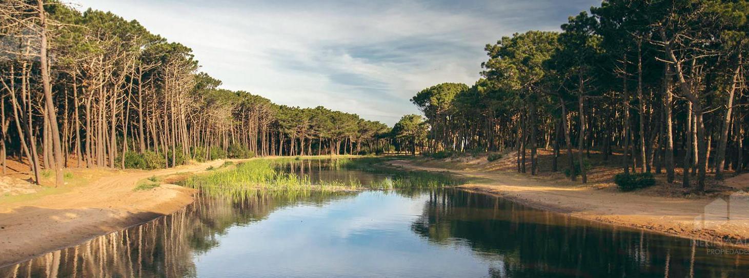 Foto de VENTA LOTE VILLA ROBLES PINAMAR BARRIO CERRADO, imagen 1