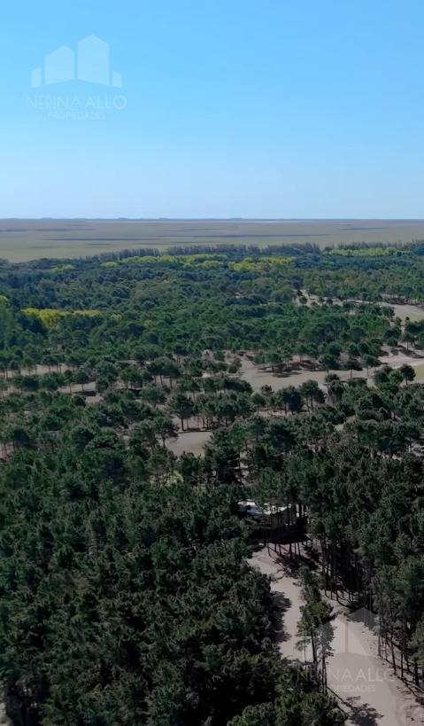 Foto de VENTA LOTE VILLA ROBLES PINAMAR BARRIO CERRADO, imagen 4