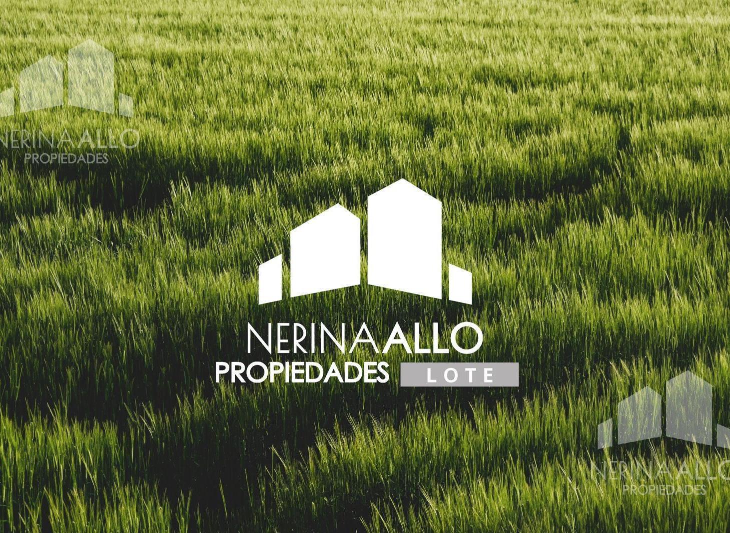 Foto de VENTA TERRENO ITUZAINGÓ norte, imagen 1