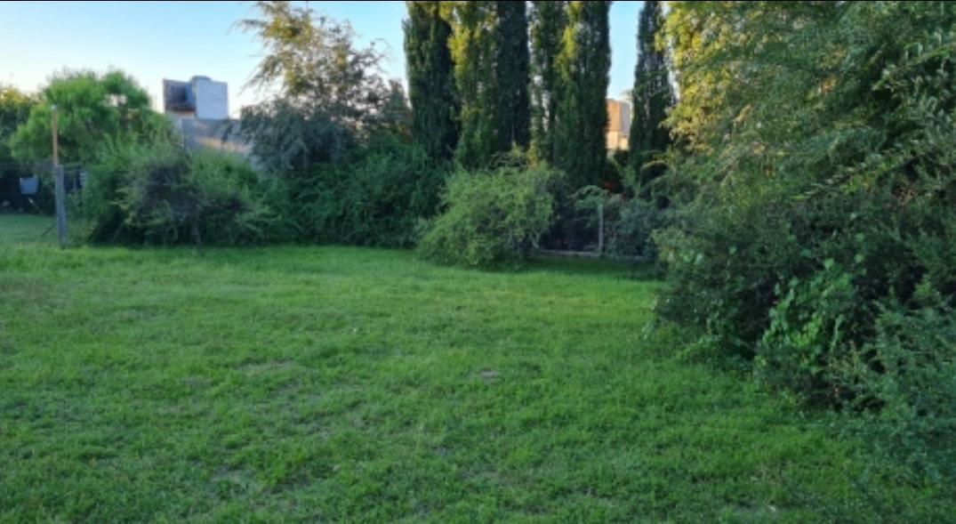 Vdo/pmtoxprop/en/cba 2.500 m Escritura 2