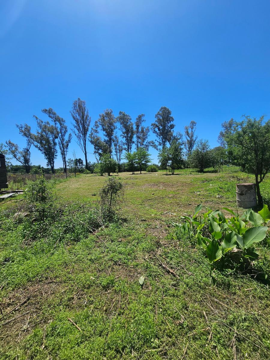 Vdo/pmtoxprop/en/cba 2.500 m Escritura 5