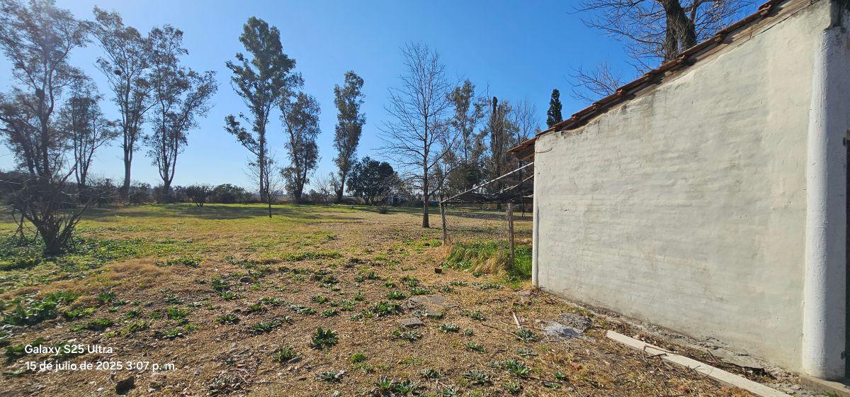 Foto de 3 DORM/2 BAÑ/PILE/QUINCHO/3760 M2/ESCRITURA, imagen 5