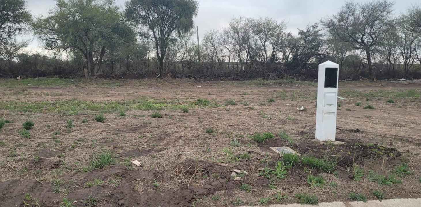 Foto de LIQUIDO TERRENO DOCTA PARQUE MALAGUEÑO, imagen 3