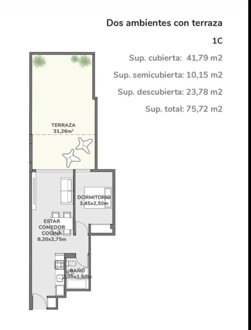 Plano 6