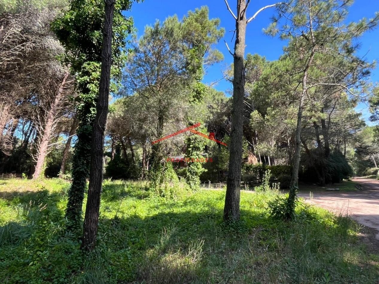 Foto de Lote en Carilo, imagen 5
