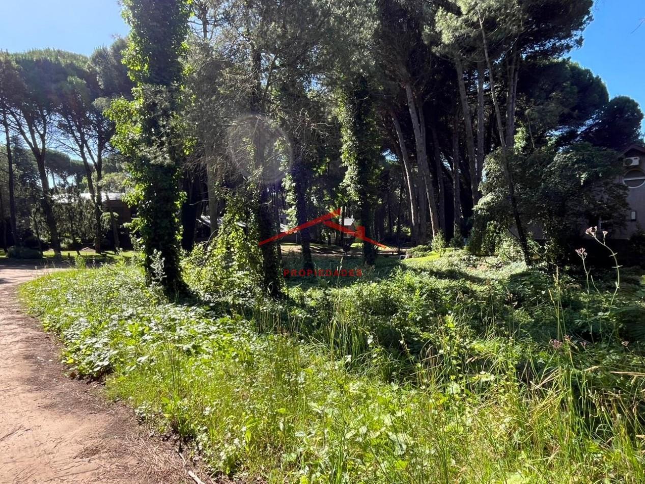 Foto de Lote en Carilo, imagen 4