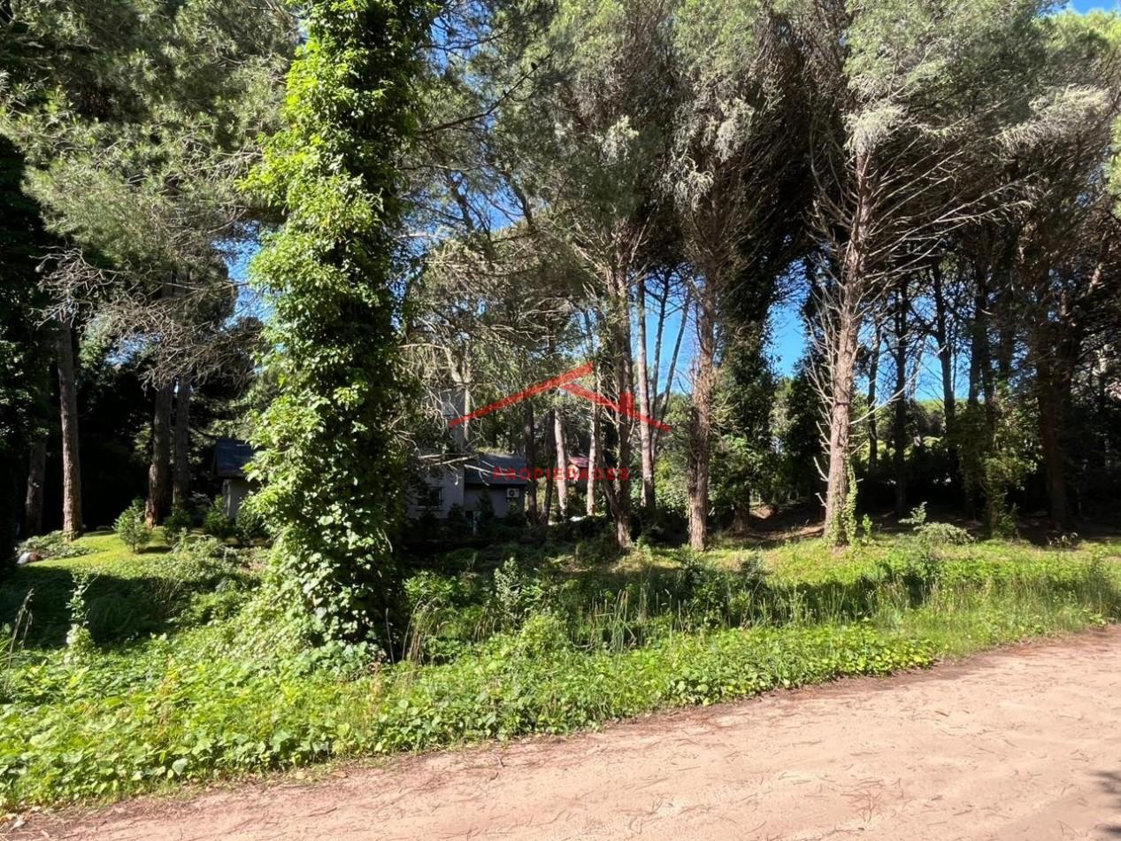 Foto de Lote en Carilo, imagen 2