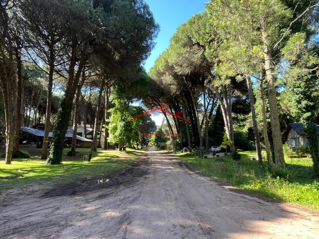 Foto de Lote en Carilo, imagen 1