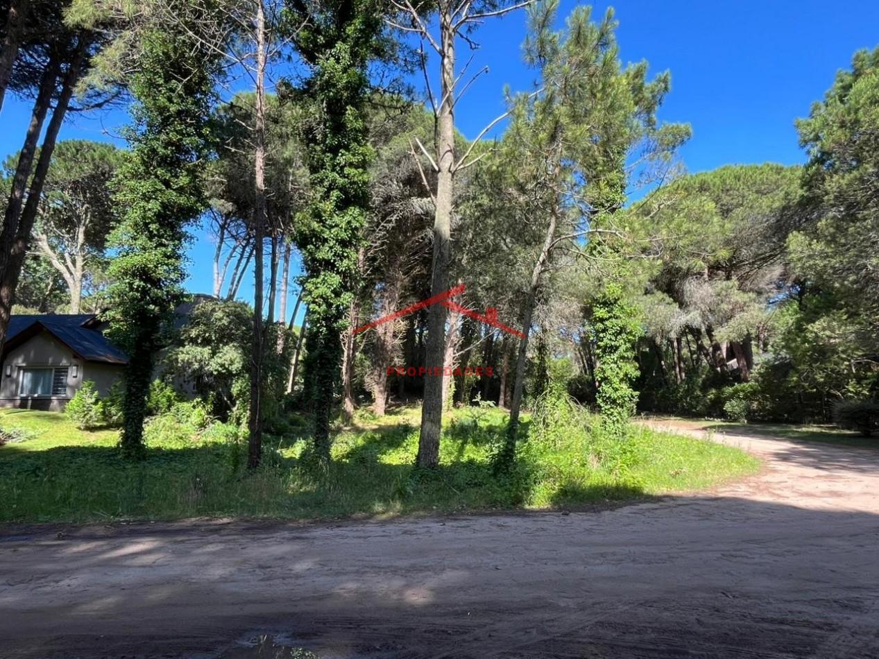 Foto de Lote en Carilo, imagen 3