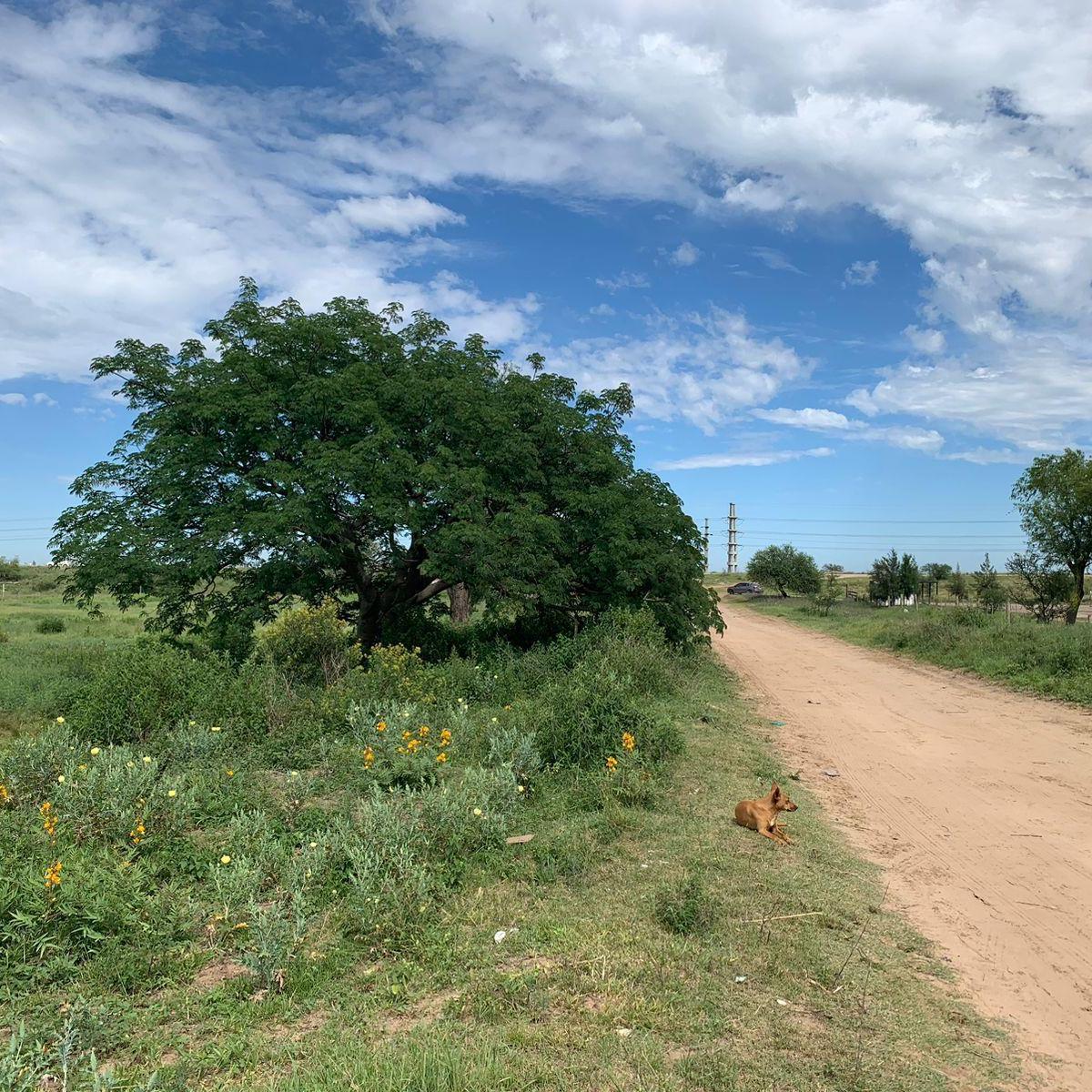 Venta Terreno Santa Fe - Colastine 3