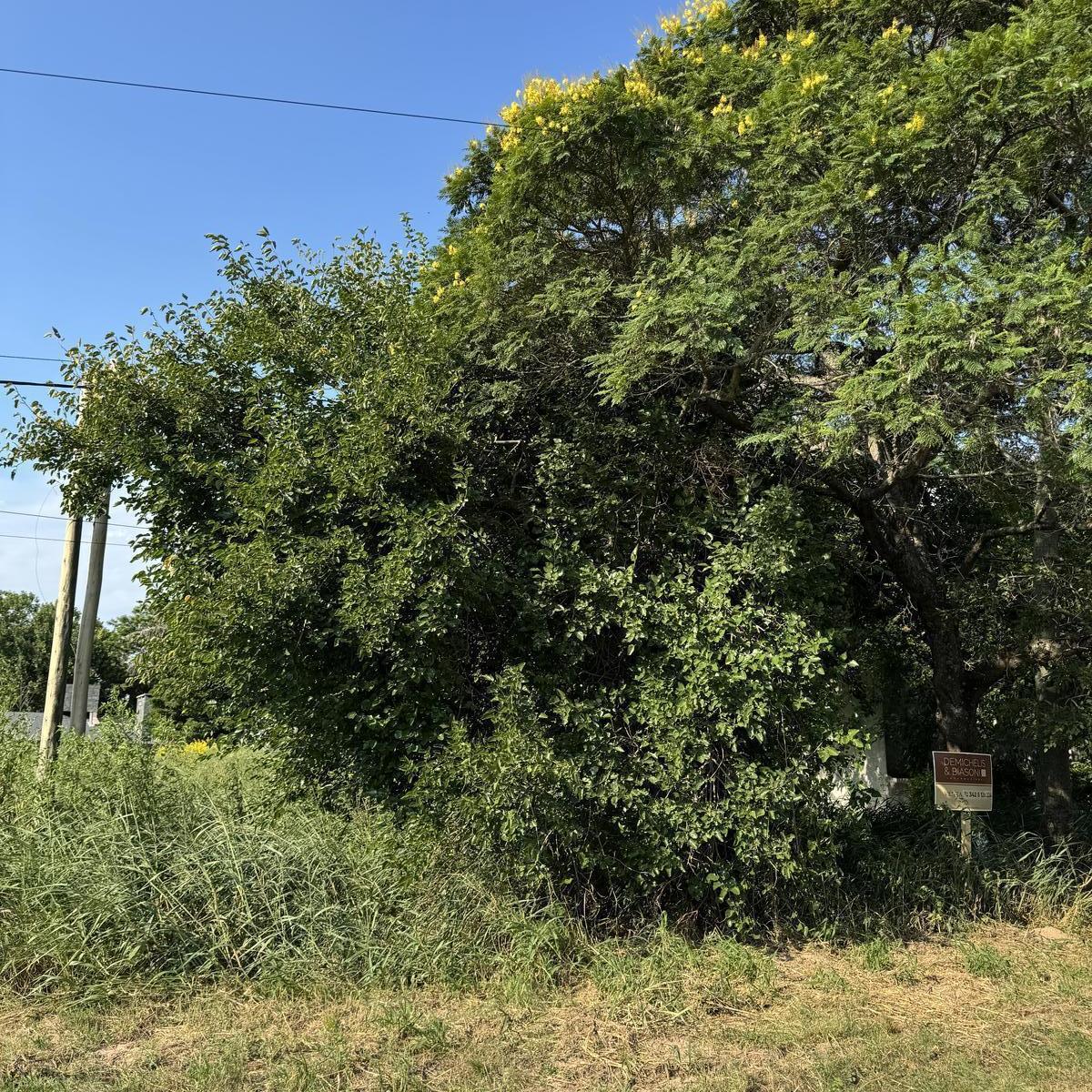 Venta Terreno Santa Fe - en La Colmena S/n (Ruta 1 Km 8) San Jose del Rincon, Santa Fe 5