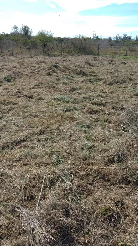 VENTA de Terreno en Villa California, a 150 m de calle del Sol. 4