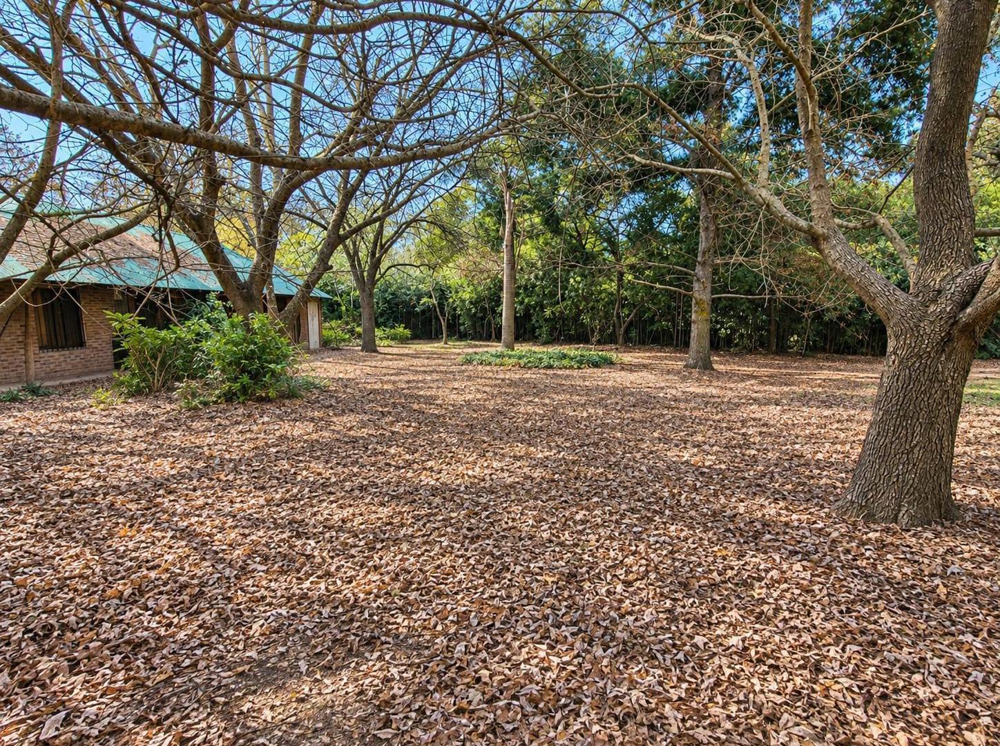 Foto de Venta - Terreno en Villa California, imagen 4