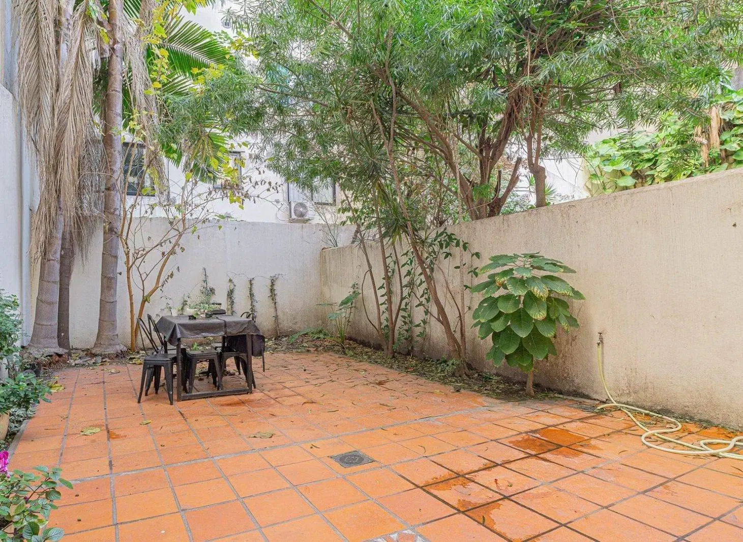 VENTA DEPARTAMENTO 3 AMBIENTES + PATIO. PALERMO CHICO 3