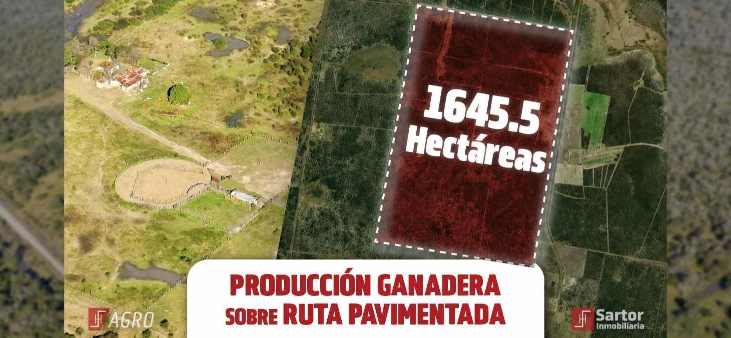 Foto de CAMPO en EL TOBA, imagen 2
