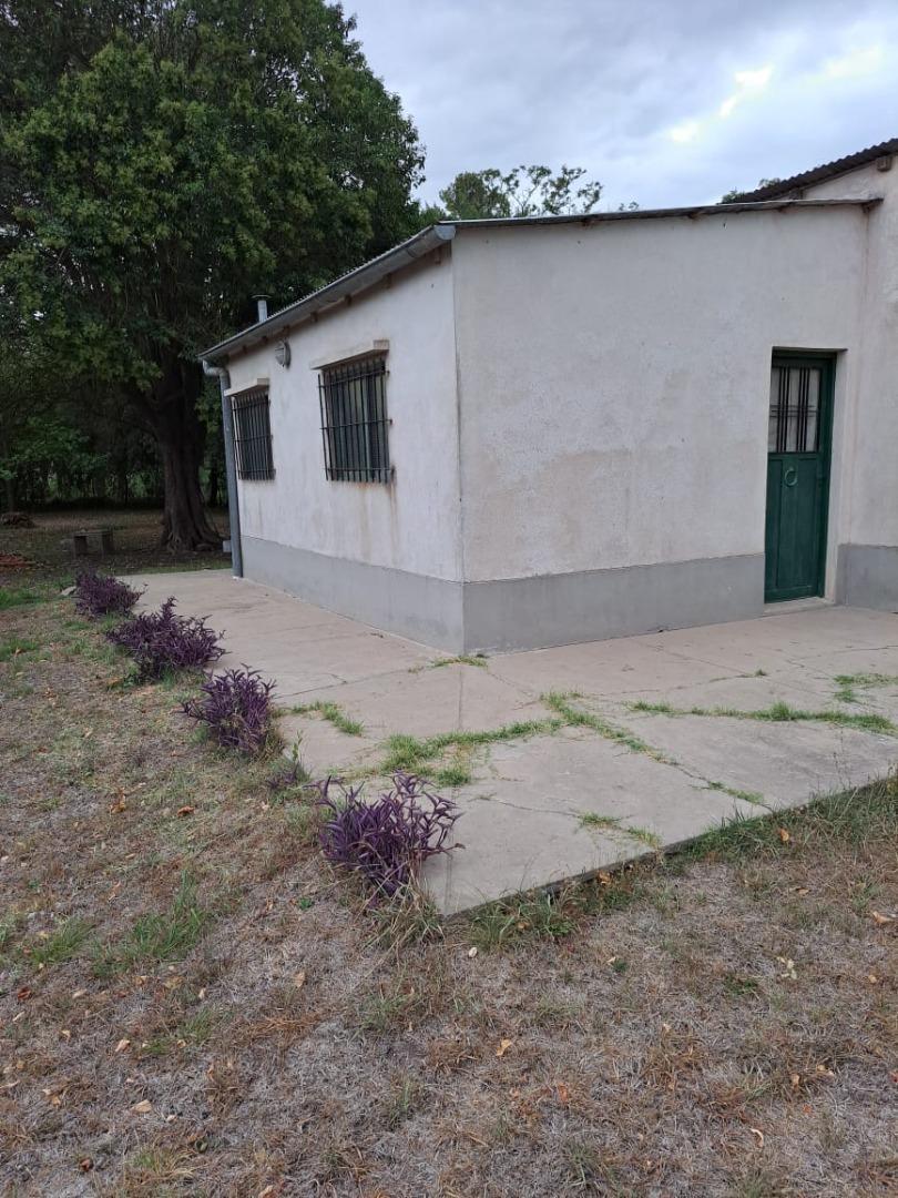 Gran Lote - en Esquina - Linda Forestación 2