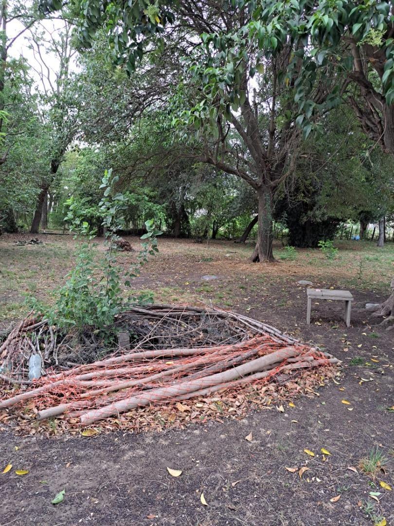 Gran Lote - en Esquina - Linda Forestación 3